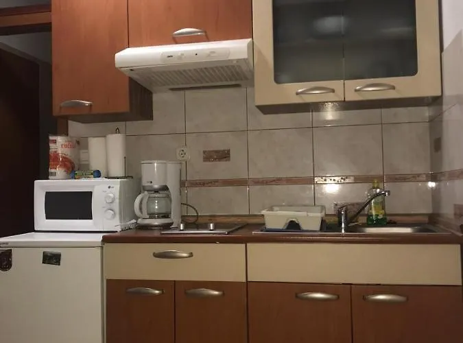 Rosmarinus Rubic Spalato